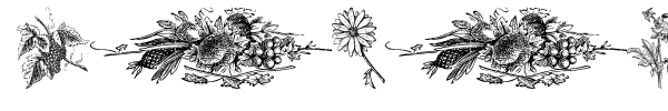 Vegetable Breathe font preview